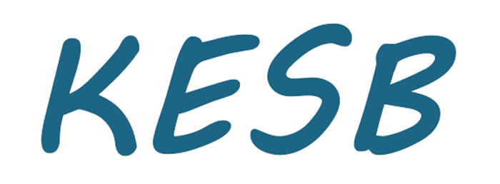 Kindes- und Erwachsenenschutzbehörde Schweiz